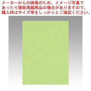 【まとめ買い10個セット品】ニューカラー4切 100枚 4NCR-243 ワカクサ 1冊【ECJ】