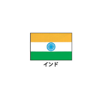 旗(世界の国旗) エクスラン国旗 インド 取り寄せ商品【ECJ】