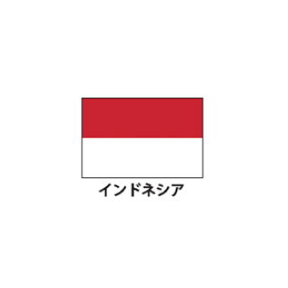 旗(世界の国旗)　エクスラン国旗　インドネシア　取り寄せ商品【ECJ】