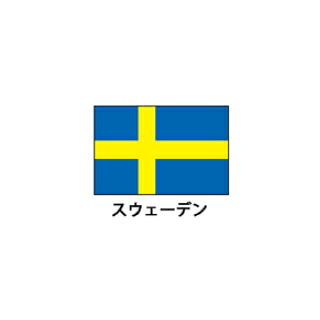 旗(世界の国旗) エクスラン国旗 スウェーデン 取り寄せ商品【ECJ】|マルシェ&キッチンカーWORLD