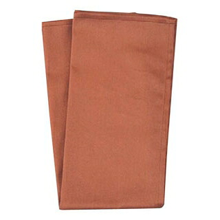 【まとめ買い10個セット品】 カラートーション ブラウン【ECJ】