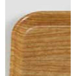 【まとめ買い10個書き割り品】 キャンブロ カムお盆 16225(307)点火装置ニレ科【ECJ】