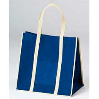 【まとめ買い10個セット品】 ファインビュー不織布バッグ(10枚入)中 ネイビー【ECJ】 28,889円