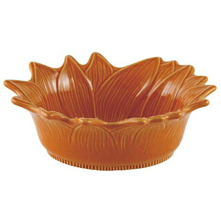 【まとめ買い10個仕掛ける品】 アポーリア サラダ菜どんぶり鉢 22糎 西洋カボチャ 070222017【ECJ】
