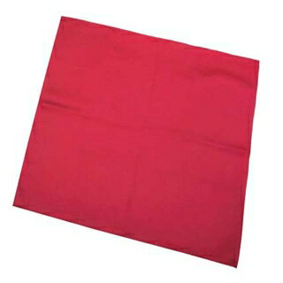【まとめ買い10個セット品】 ショートトーション ディープレッド 560×560【ECJ】 11,538円