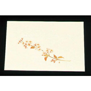 【まとめ買い10個書き割り品】 尺三 懐石まっと 皮膚軟化剤(100枚入)WSS-4 桜(2月～4月)【ECJ】