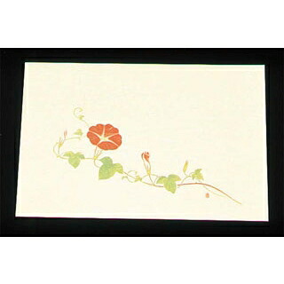 【まとめ買い10個書き割り品】 尺三 懐石まっと 皮膚軟化剤(100枚入)WSS-10 槿花(7月～8月)【ECJ】