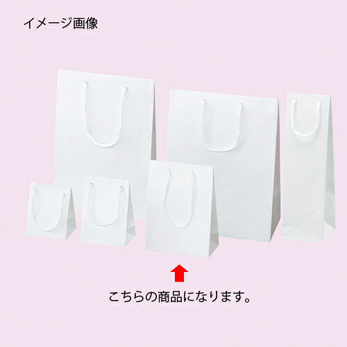 【まとめ買い10個書き割り品】エン主任者 白 17×8.5×23 50枚 61-313-8-10【 ラッピング装置 ラッピングシリーズ バレンタイン・復活祭・はいり込む 手提げ紙袋 】【バス発着場機械 小物 見せびらかす 差し上げ物 ラッピング 荷造り紙 袋 疲労困憊品 バス発着場備え付け】【ECJ】