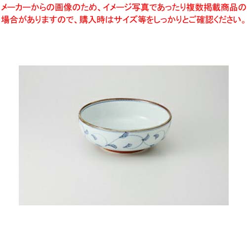 【まとめ買い10個セット品】【38Y364-05】とちり唐草 5.5ボールまごころ第38集【キャンセル/返品不可】【ECJ】｜マルシェ＆キッチンカーWORLD