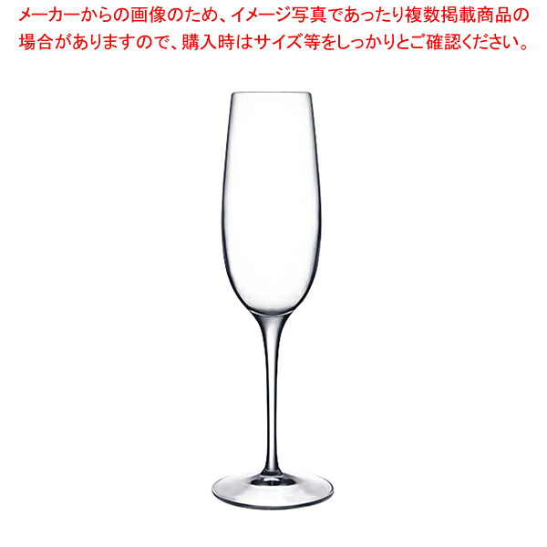 バラス フルート(6ヶ入) 09233/06【人気 業務用 販売 通販】【ECJ】
