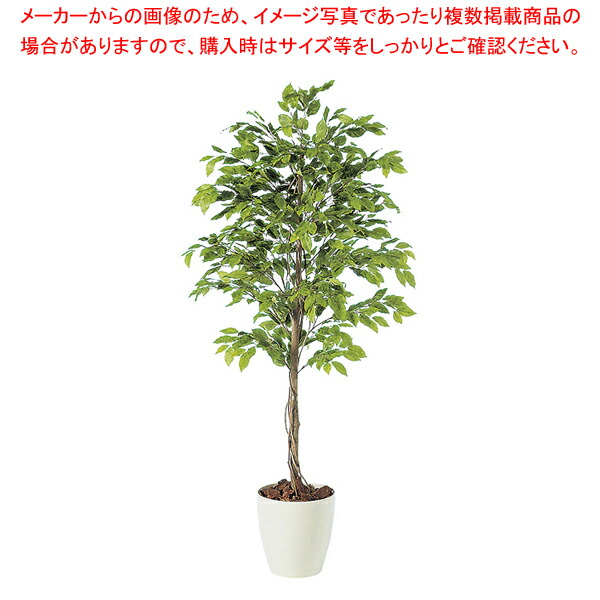 SG ベンジャミナ スプラッシュ 90711 1.5m【勝手もと装置 膳立て物の具 一皿分の料理御先棒 小物 やり方 勝手もと装置 膳立て物の具 一皿分の料理御先棒 小物 やり方 御勤め用】【ECJ】