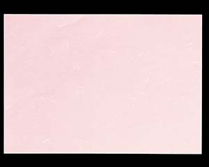 【まとめ買い10個セット品】 オ746-228 高級コピー用和紙CT-16 ピンク B4 (ミシン目無し)【キャンセル/返品不可】【ECJ】