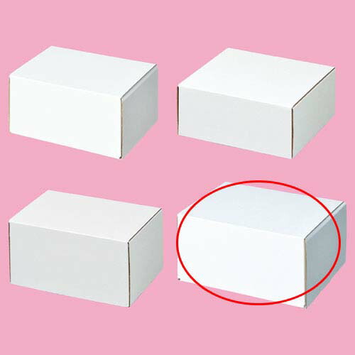 【まとめ買い10個セット品】フリーボックス 17×13.2×8.8 10枚 61-286-2-10 【店舗什器 小物 ディスプレー ギフト ラッピング 包装紙 袋 消耗品 店舗備品】【ECJ】
