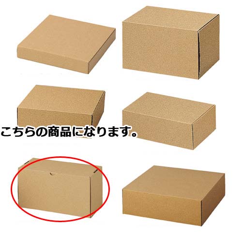 【まとめ買い10個セット品】ナチュラルボックス24×12.5×14.5cm 10枚 61-286-3-11【 ラッピング用品 ギフトボックス ナチュラルボックス 10枚入 】【 包装 ギフトラッピング 箱 ギフトボックス プレゼント 贈り物 雑貨 消耗品 かわいい 業務用 】【ECJ】|マルシェ&キッチンカーWORLD