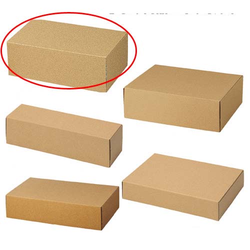 【まとめ買い10個セット品】ナチュラルボックス 30×19×11.5 10枚 61-286-3-18【店舗什器 小物 ディスプレー ギフト ラッピング 包装紙 袋 消耗品 店舗備品】【ECJ】|マルシェ&キッチンカーWORLD