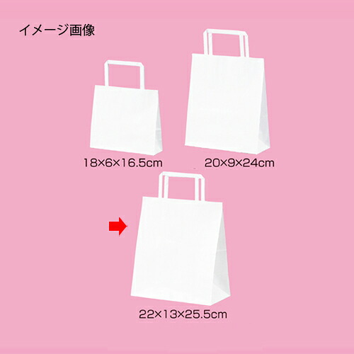 【まとめ買い10個セット品】平ひも ローコストタイプ 白無地 22×13×25.5 50枚 61-800-87-4 【店舗什器 小物 ディスプレー ギフト ラッピング 包装紙 袋 消耗品 店舗備品】【ECJ】