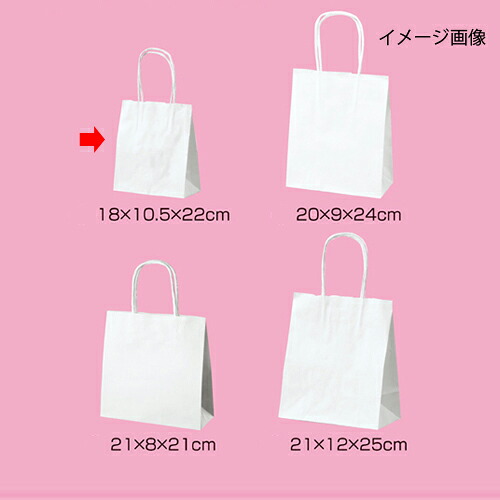 丸吊りひも ローコストタイプ 白無地 18×10.5×22 300枚 61-658-55-13【バス発着場機械 小物 見せびらかす 差し上げ物 ラッピング 荷拵え紙 袋 摺り切る品 バス発着場備え付け】【ECJ】