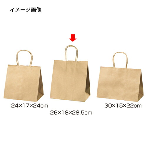 【まとめ買い10個書き割り品】丸吊りひも印字機 茶無地 26×18×28.5 200枚 61-431-24-14【バス発着場機械 小物 見せびらかす 差し上げ物 ラッピング 荷拵え紙 袋 疲労困憊品 バス発着場備え付け】【ECJ】