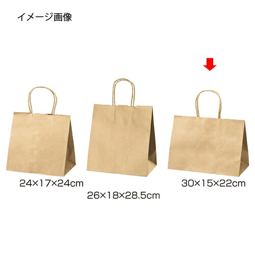 丸ひもタイプ 茶無地 30×15×22 200枚 61-431-24-15【店舗什器 小物 ディスプレー ギフト ラッピング 包装紙 袋 消耗品 店舗備品】【ECJ】|マルシェ&キッチンカーWORLD