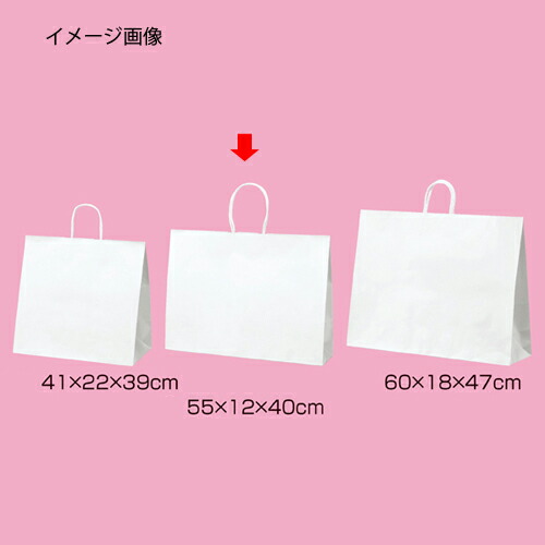 【まとめ買い10個書き割り品】丸吊りひも印字機 白無地 55×12×40 50枚 61-431-25-11【バス発着場機械 小物 見せびらかす 差し上げ物 ラッピング 荷拵え紙 袋 疲労困憊品 バス発着場備え付け】【ECJ】