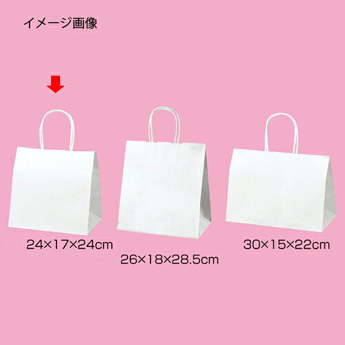 丸ひもタイプ 白無地 24×17×24 200枚 61-431-25-13【店舗什器 小物 ディスプレー ギフト ラッピング 包装紙 袋 消耗品 店舗備品】【ECJ】|マルシェ&キッチンカーWORLD