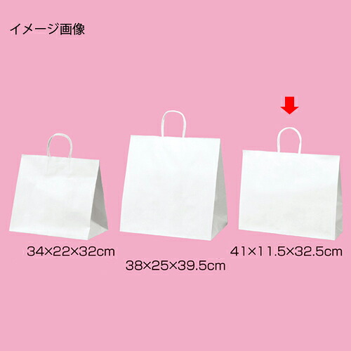 丸ひもタイプ 白無地 41×11.5×32.5 200枚 61-431-25-21 【店舗什器 小物 ディスプレー ギフト ラッピング 包装紙 袋 消耗品 店舗備品】【ECJ】
