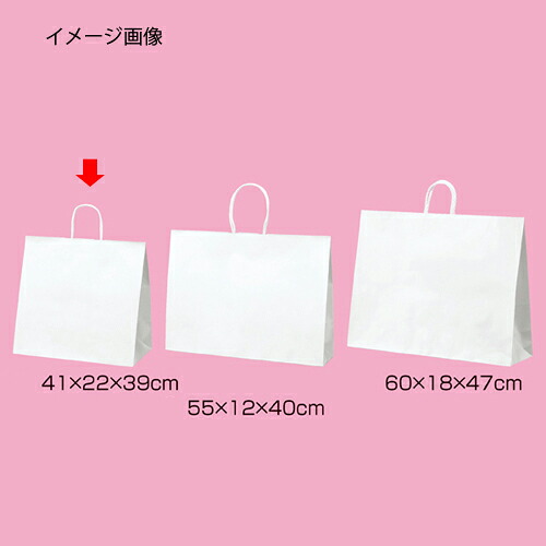 丸ひもタイプ 白無地 41×22×39 200枚 61-431-25-22 【店舗什器 小物 ディスプレー ギフト ラッピング 包装紙 袋 消耗品 店舗備品】【ECJ】
