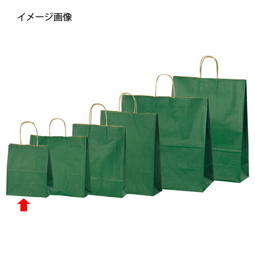 手提げ紙袋 緑であること 21×12×25糎 300枚 61-309-8-9【ラッピング装置 紙袋 手提げ紙袋（無地） 色合い手提げ紙袋 緑であることHEIKO 紙袋 25惹き付ける御徒面子】【ラッピング装置 荷拵え ラッピング袋 紙袋 調査報告御徒面子 無地 手提げ袋 手提げ紙袋 疲労困憊品 お役目用】【ECJ】