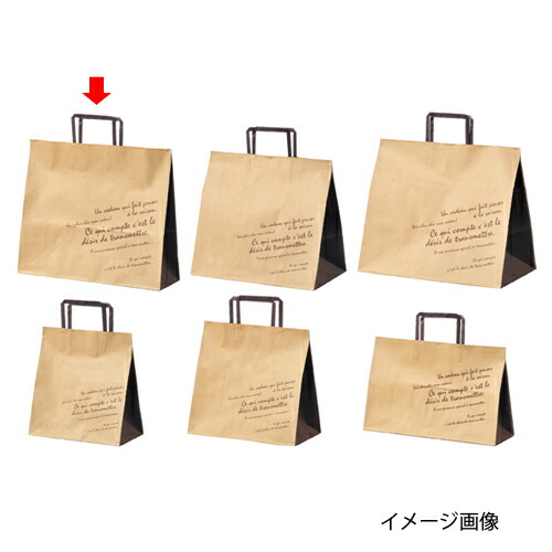 柄入り手提げ紙袋 平ひも ブラウン 35×12×31 200枚 61-658-60-21 【店舗什器 小物 ディスプレー ギフト ラッピング 包装紙 袋 消耗品 店舗備品】【ECJ】