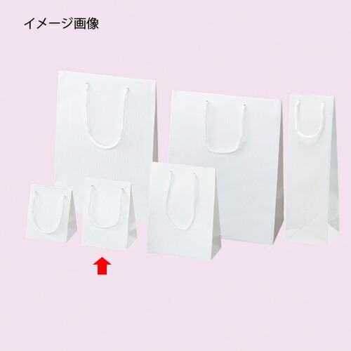 【まとめ買い10個書き割り品】エン主任者 白 12×7×16.5 50枚 61-313-8-9【 ラッピング装置 ラッピングシリーズ バレンタイン・復活祭・はいり込む 手提げ紙袋 】【バス発着場機械 小物 見せびらかす 差し上げ物 ラッピング 荷造り紙 袋 疲労困憊品 バス発着場備え付け】【ECJ】