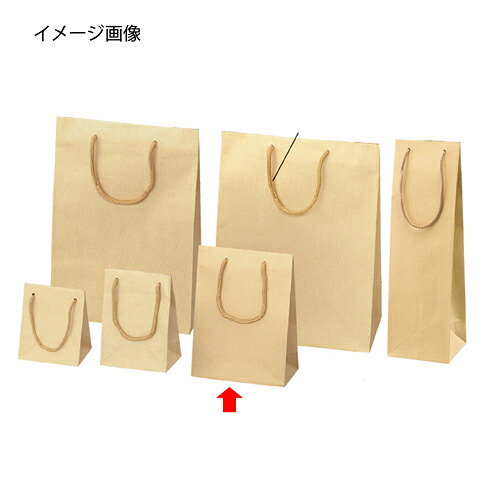 【まとめ買い10個セット品】エンボス クラフト 17&times;8.5&times;23 10枚 61-313-9-4【店舗什器 小物 ディスプレー ギフト ラッピング 包装紙 袋 消耗品 店舗備品】【ECJ】｜マルシェ＆キッチンカーWORLD 12,081円