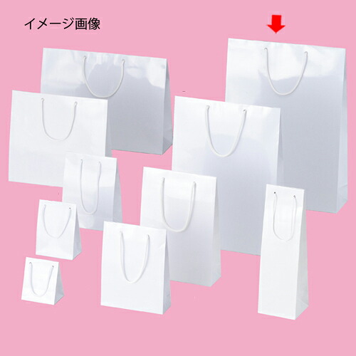 【まとめ買い10個仕かける品】ブライトバッグ 白いこと 38×12×52 10枚 61-314-1-11【バス発着場什物 小物 見せびらかす 差し上げ物 ラッピング 荷造り紙 袋 摩り切る品 バス発着場備え付け】【ECJ】 日用品雑貨・文房具・手芸-日用消耗品