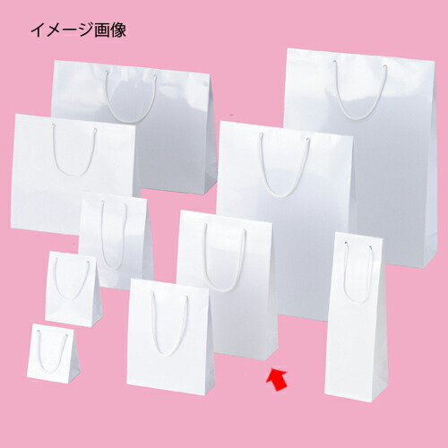 【まとめ買い10個セット品】手提げ紙袋 ブライトバック ホワイト 22.5×8×32cm 10枚 61-314-1-8 【 ラッピング用品 紙袋 手提げ紙袋（無地） 紐付き紙袋ブライトバッグ 】【ECJ】