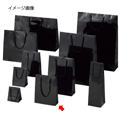 ブライトバッグ 黒いこと 18.5×6.5×24 50枚 61-314-2-18【ラッピング設備 ラッピングシリーズ バレンタイン・復活祭・はいり込む ブライトバッグ ブラックシモジマ 紙袋 ツヤ有り 黒】【バス発着場機械 小物 見せびらかす 差し上げ物  荷拵え紙 袋 摺り切る品 バス発着場備え付け】【ECJ】