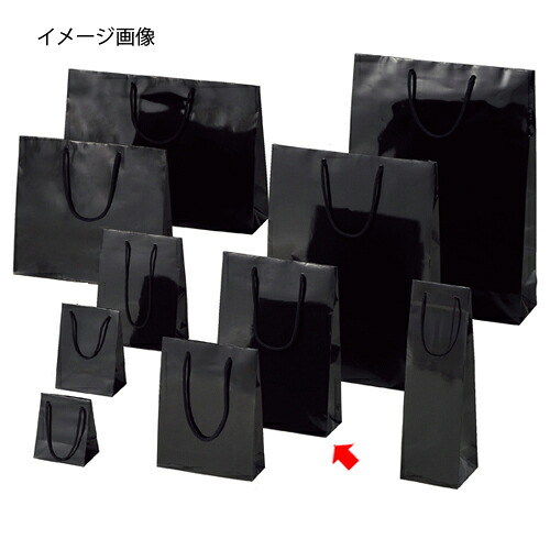【まとめ買い10個セット品】ブライトバッグ ブラック 22.5×8×32 10枚 61-314-2-8 【店舗什器 小物 ディスプレー ギフト ラッピング 包装紙 袋 消耗品 店舗備品】【ECJ】