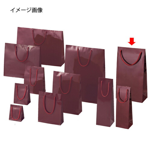 ブライトバッグ エンジ 20×10×36.5 50枚 61-314-3-19【ラッピング設備 ラッピングシリーズ バレンタイン・復活祭・はいり込む ブライトバッグ エンジシモジマ 紙袋 ツヤ有り】【バス発着場機械 小物 見せびらかす 差し上げ物 ラッピング 荷拵え紙 袋 摺り切る品 バス発着場備え付け】【ECJ】