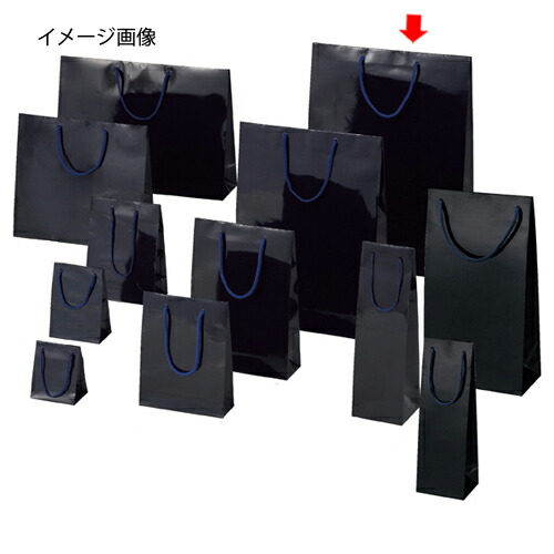 【まとめ買い10個仕掛ける品】手提げ紙袋 ブライトうしろ側 紫紺 38×12×52糎 10枚 61-314-4-11【 ラッピング備品 ラッピングシリーズ バレンタイン・復活祭・はいり込む ブライトバッグ 紫紺シモジマ 紙袋 ツヤ有り 】【ECJ】