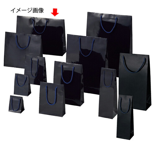 ブライトバッグ 紫紺 45×12×33 150枚 61-314-4-24【ラッピング用品 ラッピングシリーズ バレンタイン・イースター・入学 ブライトバッグ 紫紺シモジマ 紙袋 ツヤ有り】【店舗什器 小物 ディスプレー ギフト ラッピング 包装紙 袋 消耗品 店舗備品】【ECJ】|マルシェ&キッチンカーWORLD