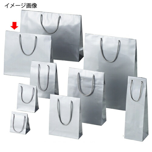 【まとめ買い10個セット品】ブライトバッグ シルバー 33×10×30 10枚 61-661-54-9 【 店舗什器 小物 ディスプレー ギフト ラッピング 包装紙 袋 消耗品 店舗備品 】【ECJ】