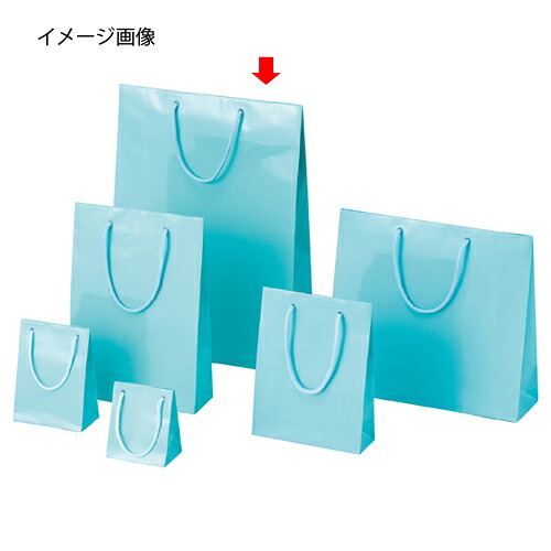 【まとめ買い10個セット品】ブライトバッグ アサギ 33×10×45 10枚 61-314-6-10 【 ラッピング用品 ラッピングシリーズ バレンタイン・イースター・入学 ブライトバッグ アサギシモジマ 紙袋 ツヤ有り 水色 】【 ディスプレー ギフト ラッピング 包装紙 消耗品 】【ECJ】