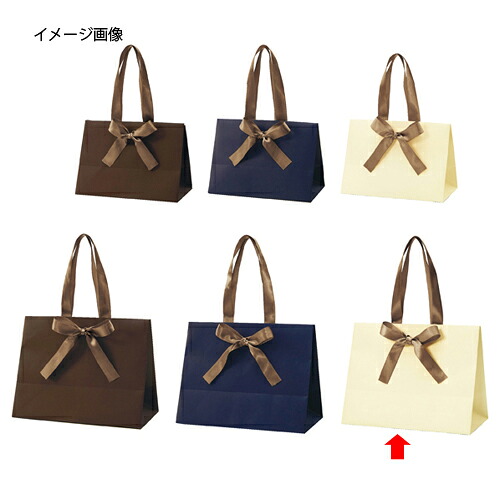 【まとめ買い10個セット品】 ノブレス M クリーム 10枚 61-315-4-6 【店舗什器 小物 ディスプレー ギフト ラッピング 包装紙 袋 消耗品 店舗備品】【ECJ】