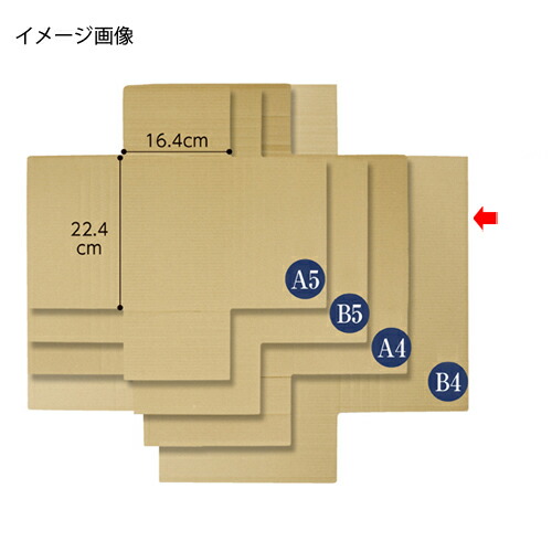 【まとめ買い10個セット品】タトウ式ダンボール 37.9×26.9×1.8～6cm 40枚 61-319-3-4 【店舗什器 小物 ディスプレー ギフト ラッピング 包装紙 袋 消耗品 店舗備品】【ECJ】