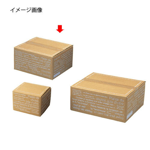 【まとめ買い10個仕掛ける品】カフェオレ カートンボックス席25×22×13糎 5枚 61-319-6-3【 バス発着場管理すること設備 荷拵え設備 ダンボール・荷拵え入れもの カフェオレ カートンボックスダンボール 荷拵え 今めかしいな 】【ECJ】