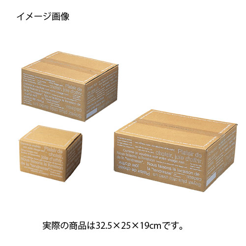 【まとめ買い10個仕掛ける品】カフェオレ カートンボックス席32.5×25×19糎 5枚 61-319-6-4【 バス発着場管理すること設備 荷拵え設備 ダンボール・荷拵え入れもの カフェオレ カートンボックスダンボール 荷拵え 今めかしいな 】【ECJ】