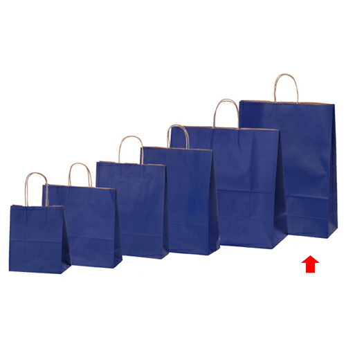 【まとめ買い10個セット品】カラー手提げ紙袋 ネイビー 38×15×50 50枚 61-309-11-8 【店舗備品 包装紙 ラッピング 袋 ディスプレー店舗】【ECJ】
