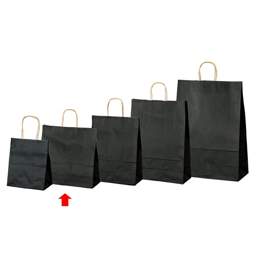 【まとめ買い10個セット品】カラー手提げ紙袋 黒 32×11.5×31 50枚 61-309-12-3 【店舗備品 包装紙 ラッピング 袋 ディスプレー店舗】【ECJ】