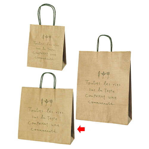 ナチュール 32×11.5×31 200枚 61-311-3-7【ラッピング設備 紙袋 手提げ紙袋（柄入り口・入口） ナテュール】【バス発着場備え付け 荷拵え紙 ラッピング 袋 見せびらかすバス発着場】【ECJ】