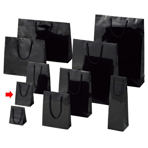 【まとめ買い10個セット品】ブライトバッグ ブラック 12×7×16.5 10枚 61-314-2-4【店舗備品 包装紙 ラッピング 袋 ディスプレー店舗】【ECJ】