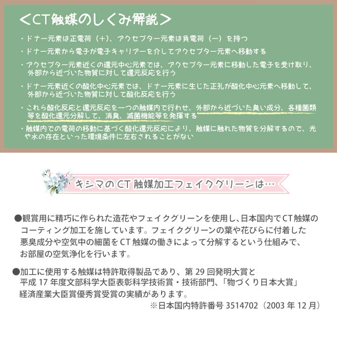 楽天市場 土日祝もあす楽 Eclia 消臭アーティフィシャルグリーン ガラスジャー入り S 造花 インテリア ミニ フェイクグリーン 観葉植物 Sサイズ 空気清浄 人工観葉植物 消臭 光触媒 Ct触媒 花 アレンジ おしゃれ リアル カフェ 玄関 リビング キッチン 北欧