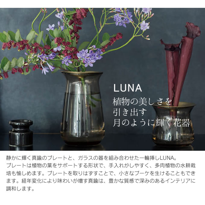 楽天市場 Kinto Luna ベース 8 13cm キントー ベース 一輪挿し 真鍮 真ちゅう 多肉植物 水耕栽培 花器 フラワーベース 花瓶 ガラス 北欧 シンプル おしゃれ ブランド 水栽培 お花 切り花 生花 玄関 インテリア リビング インテリアと雑貨のお店エクリティ